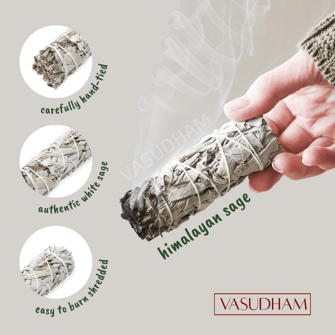 Hand holding a himalayan sage smudge stick with product details and 'Vasudham' branding.