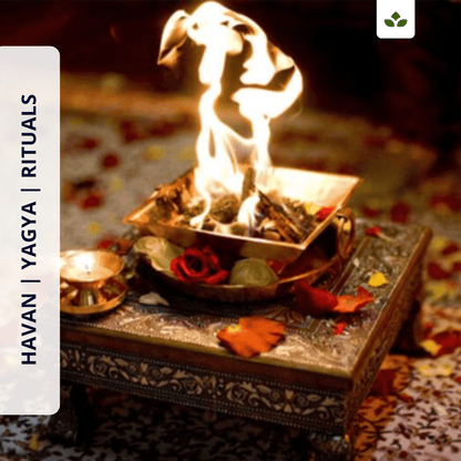 Natural A+ Grade Havan Samagri with Ayurvedic Herbs, Organic Roots for Pooja and Yagya - 400 Gm